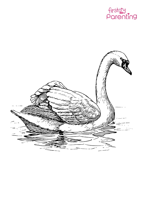 Floating swan coloring page for kids