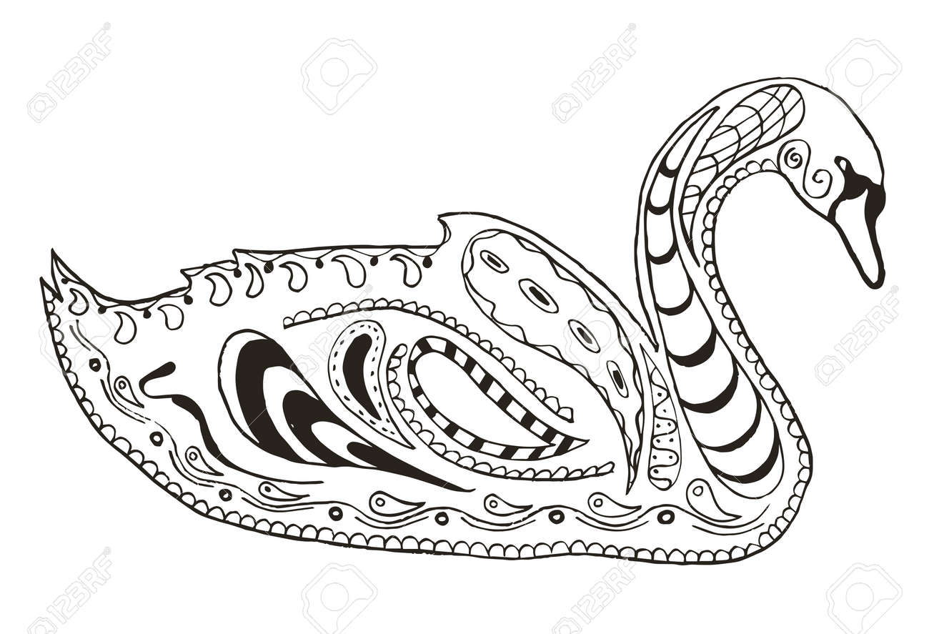 Swan zentangle stylized illustration vector freehand pencil pattern coloring book print for t