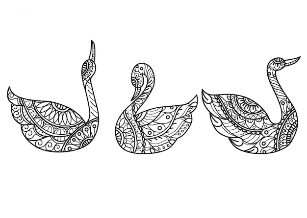 Premium vector swan pattern hand drawn sketch illustration for adult coloring book