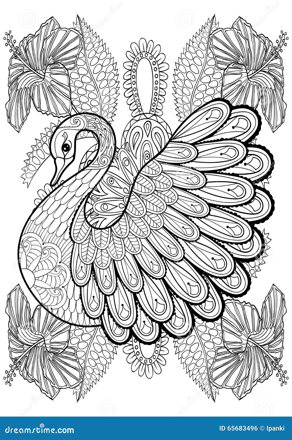 Swan coloring stock illustrations â swan coloring stock illustrations vectors clipart