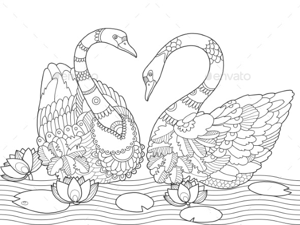 Swan coloring book for adults vector vectors