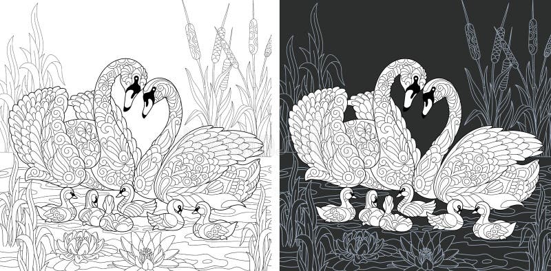 Coloring book page with swan family stock vector