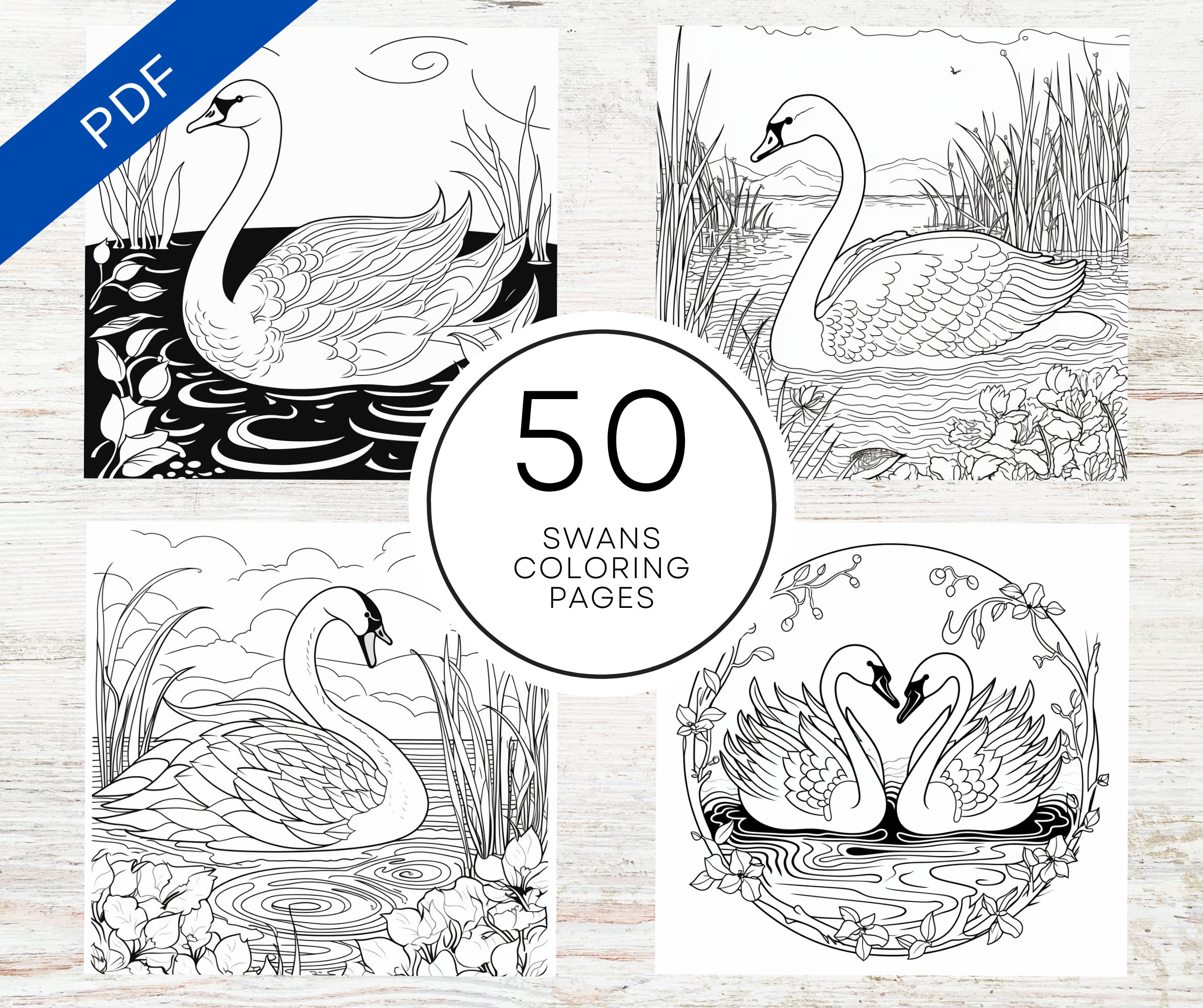 Swan coloring book