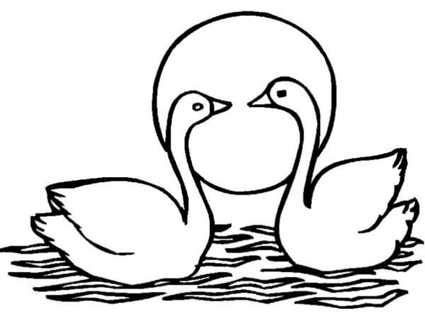Swans on the background of the sunset coloring page