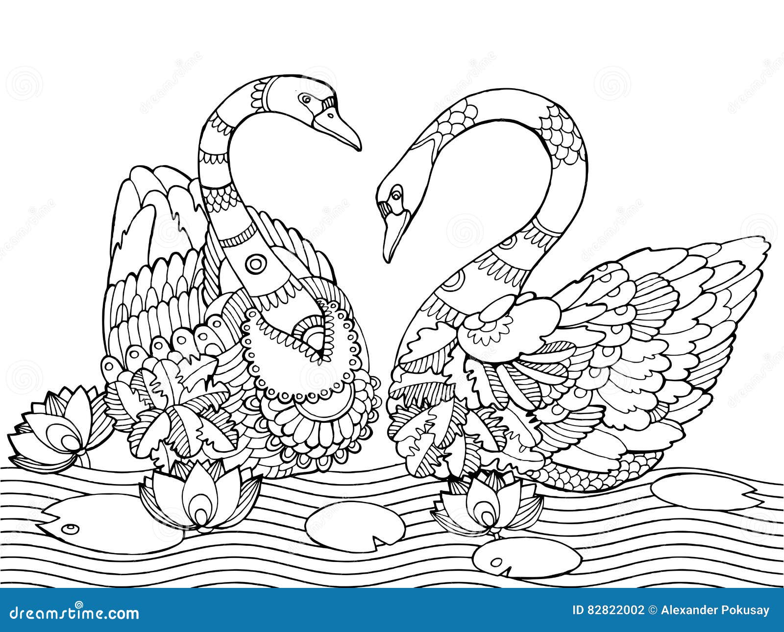 Swan coloring book for adults vector stock vector