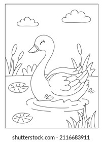 Swan coloring page images stock photos d objects vectors