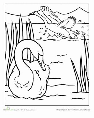 Swan worksheet education coloring pages step by step sketches hand embroidery art