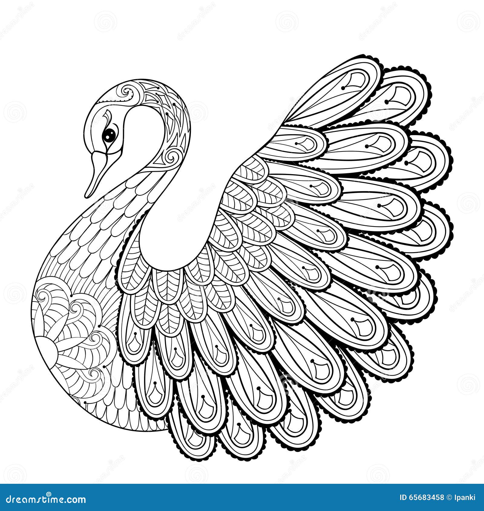 Swan coloring stock illustrations â swan coloring stock illustrations vectors clipart
