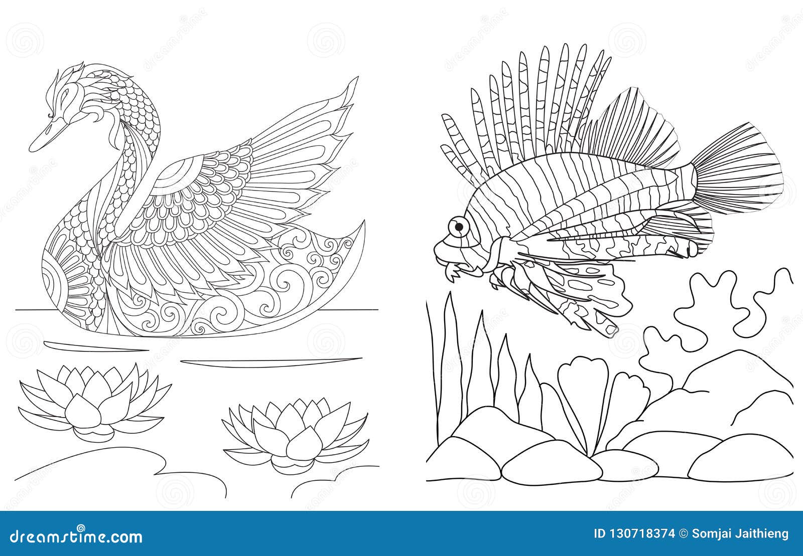 Coloring pages collection of swan and lion fish simple line art for colouring book for anti stressvector illustration stock vector
