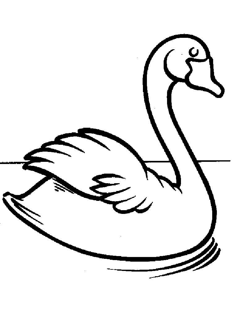 Swan coloring pages