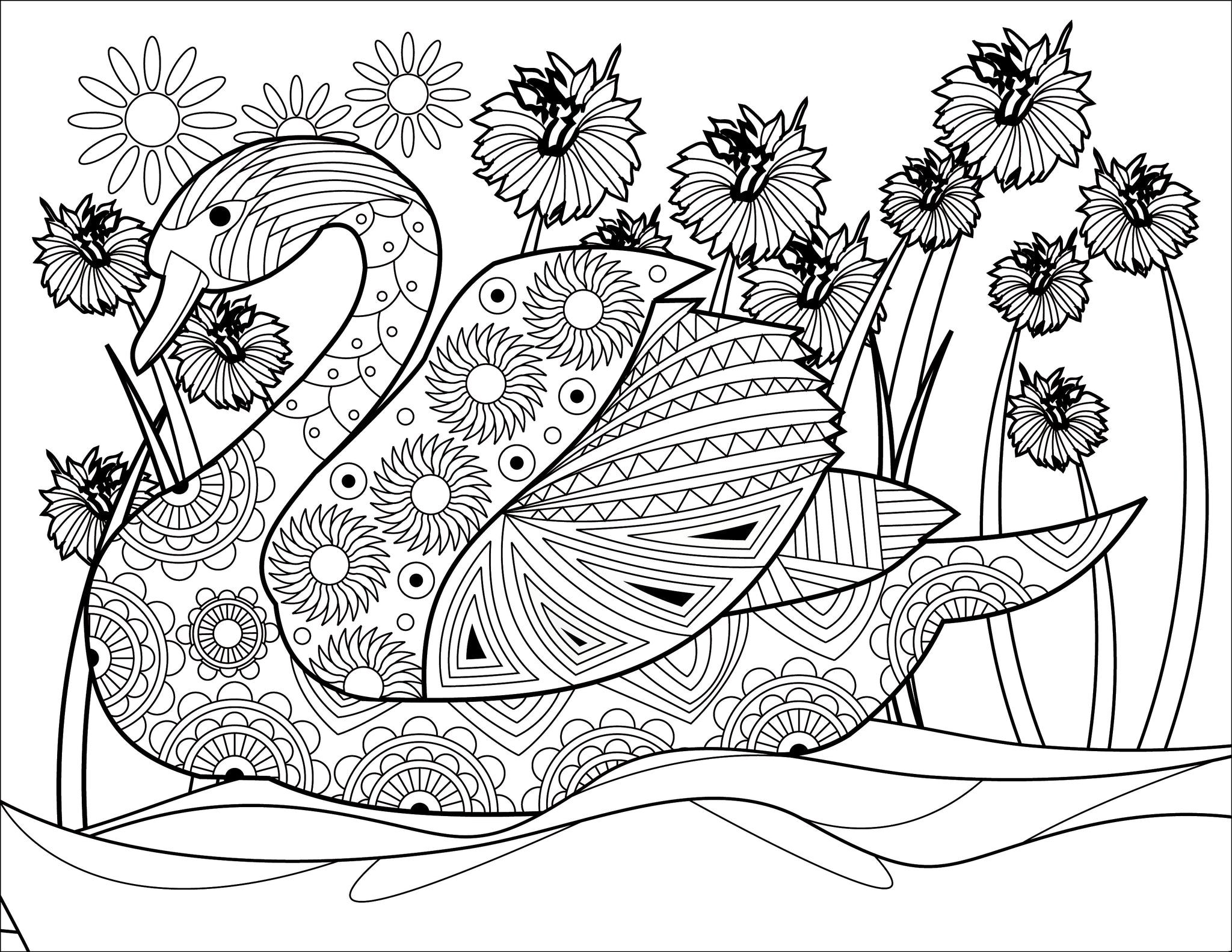Adult coloring book