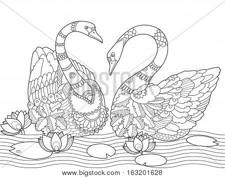 Swan coloring book vector photo free trial bigstock