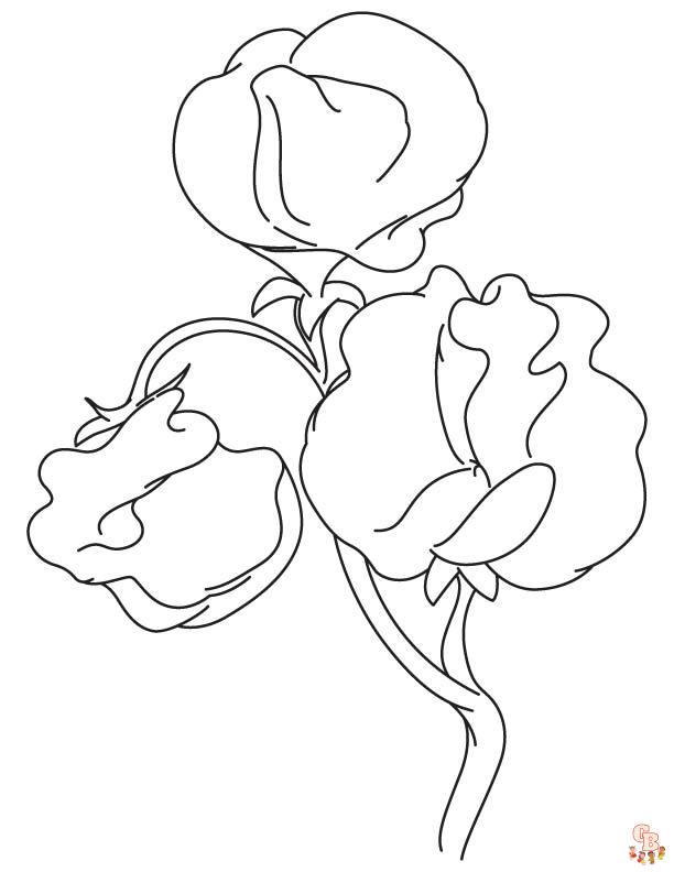 Sweet pea coloring pages printable and free coloring sheets