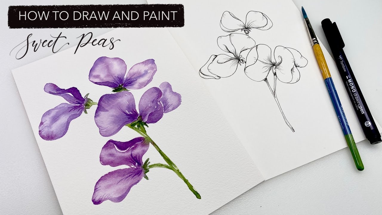 Watercolour sweet peas how to draw and paint aprils birth onth flower