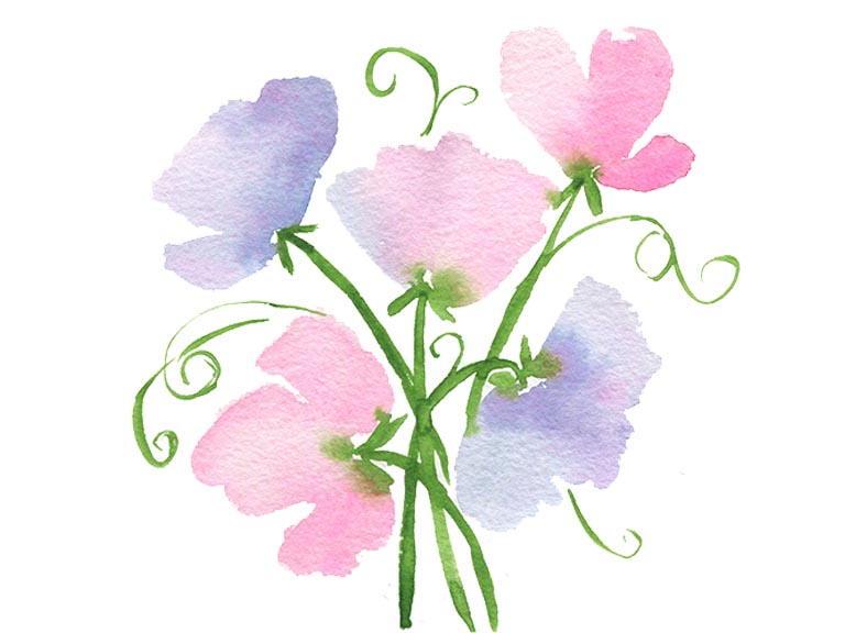 Waterlour tutorial how to paint sweet pea flowers emily wassell