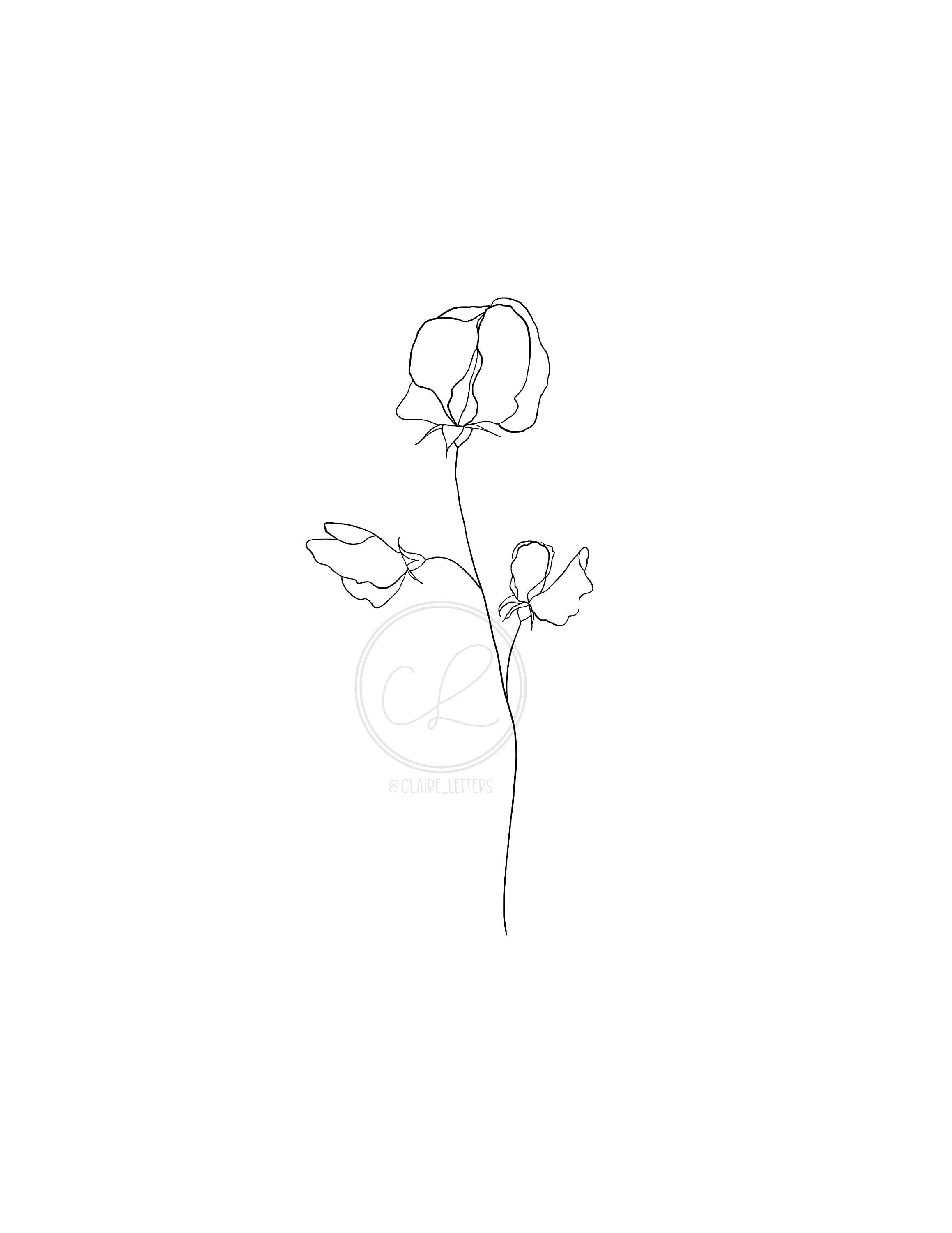 Sweet pea flower minimalist wall art printable pdf artwork simple botanical drawing digital print