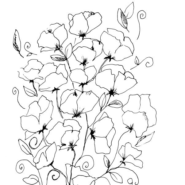 Sweet peas sketch diane antone studio