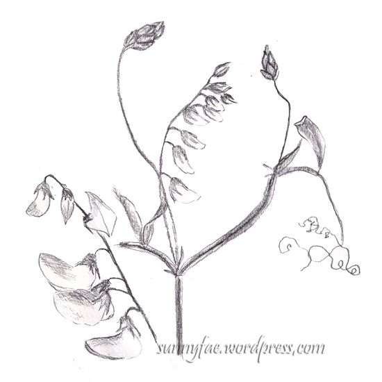 Mums sweet peas â