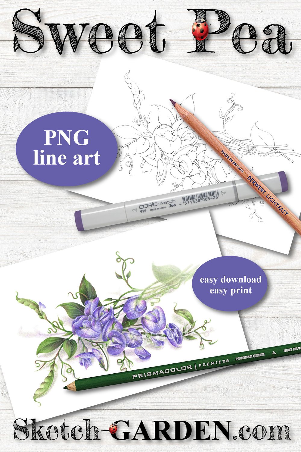 Sweet pea â sketch garden