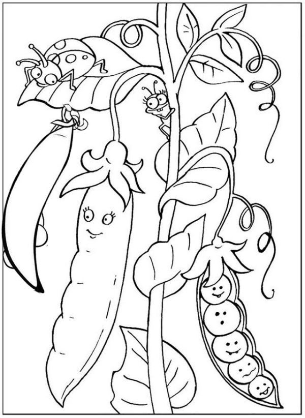 Free peas coloring pages printable pdf