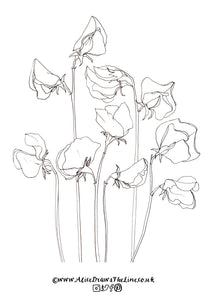 Garden flowers louring in sheets â alice draws the line