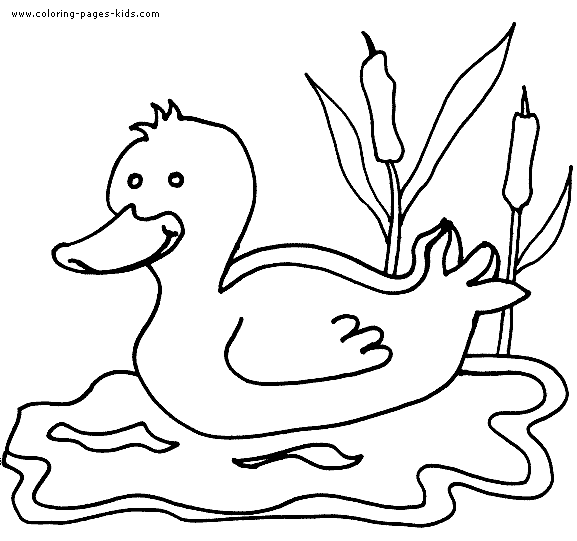 Duck swimming color page free printable coloring sheets for kids