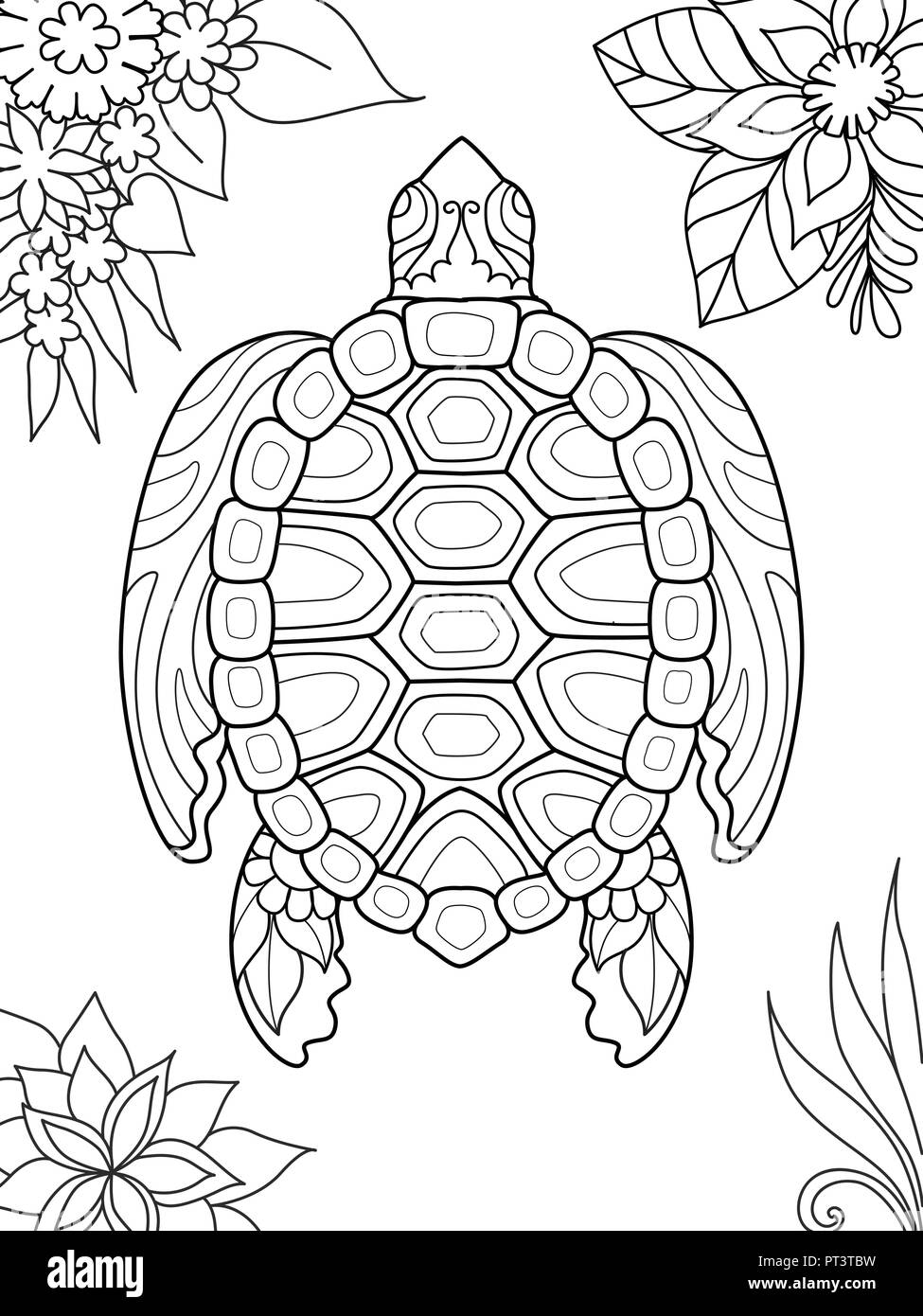 Simple line art of turtle swimming for coloring book page on smartphone app vector illustration stock vector image art