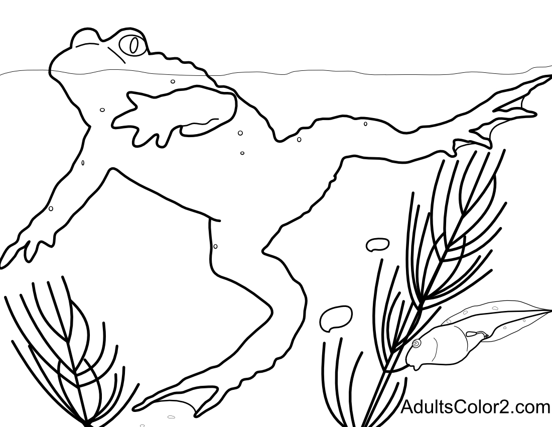 Easy coloring pages for adults or kids effortless fun