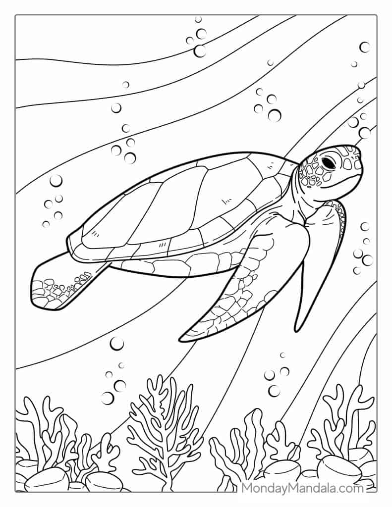 Turtle coloring pages free pdf printables