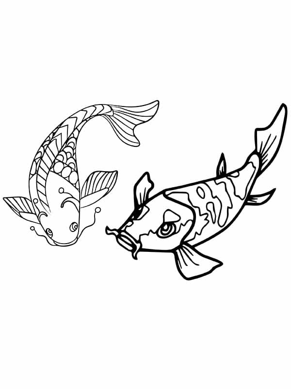 Two koi fishes are swimming coloring page