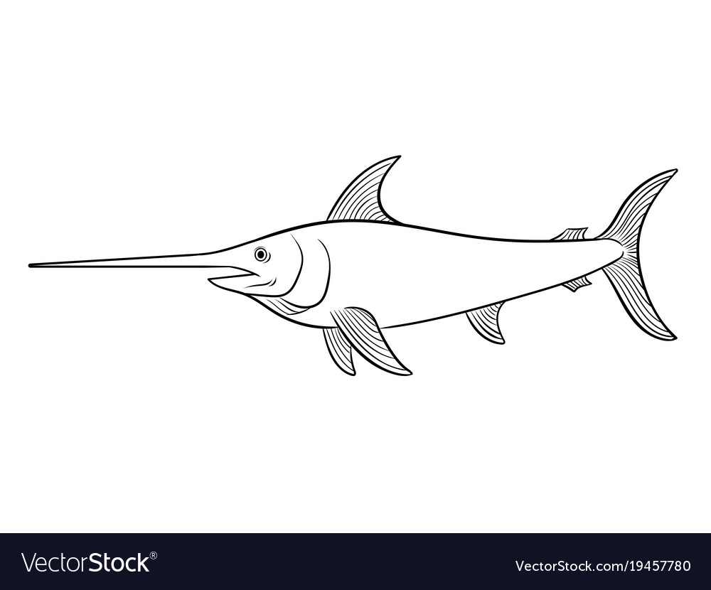Swordfish coloring book royalty free vector image
