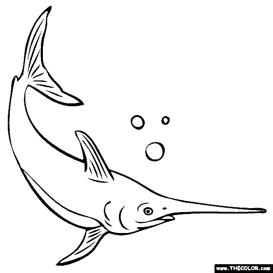 Sword fish coloring page color a swordfish