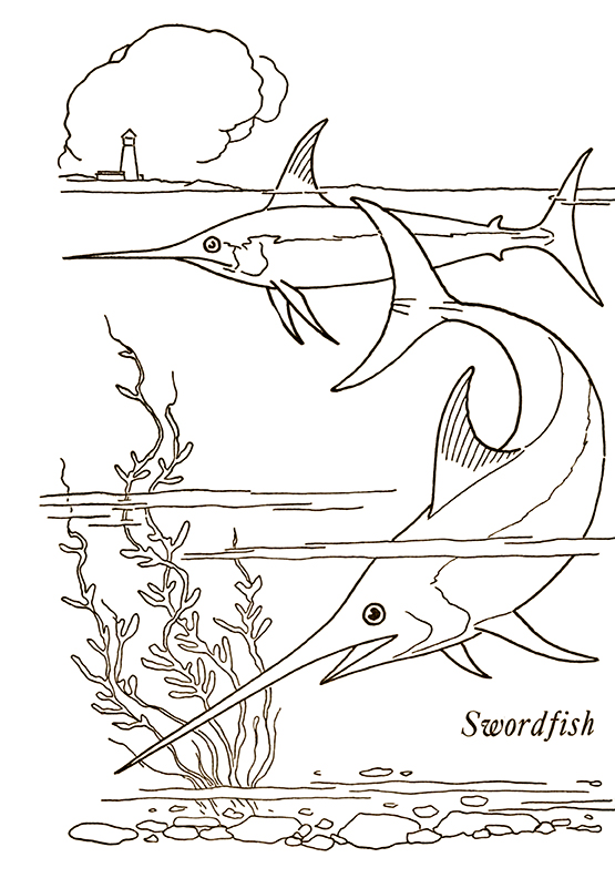 Sea animals printable coloring pages