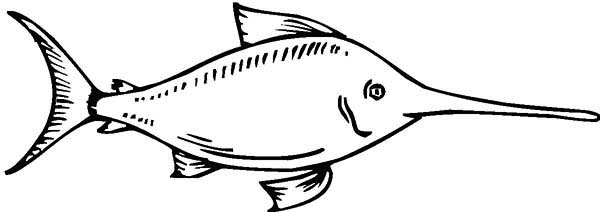 Swordfish coloring page for kids color luna