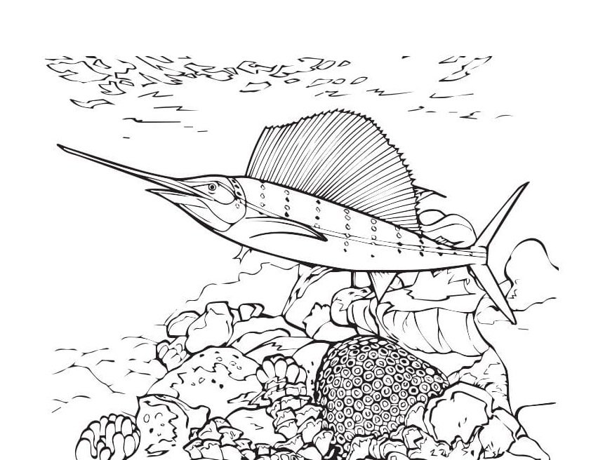 Coral reef coloring pages printable for free download