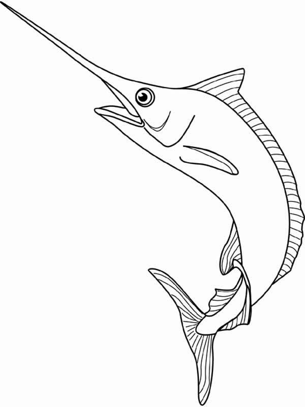 Marlin the swordfish coloring page color luna fish drawings coloring pages animal stencil art