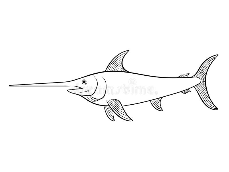 Swordfish coloring book vector illustration stock vector