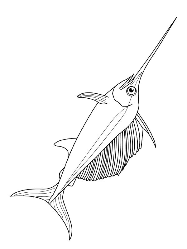 Fish coloring pages fish coloring page cool coloring pages coloring pages
