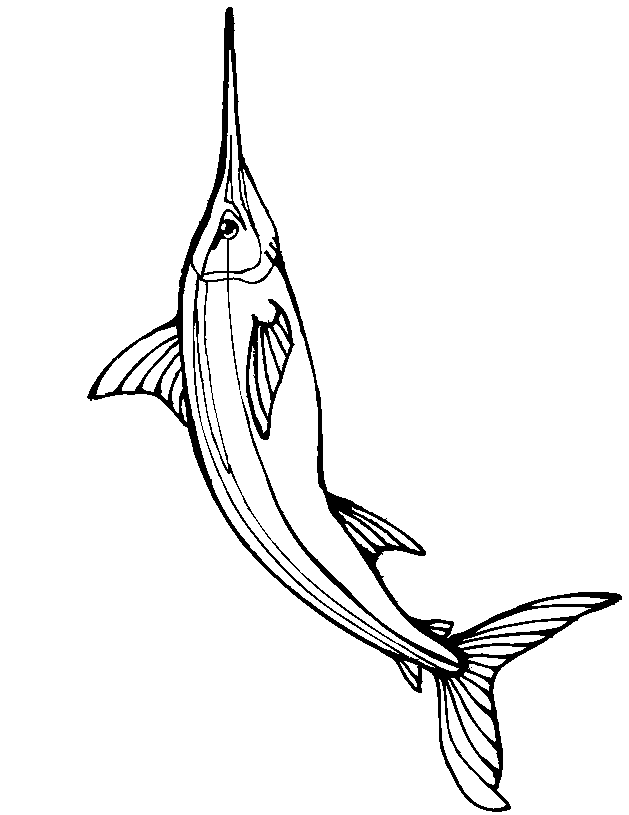Fish coloring page swordfish