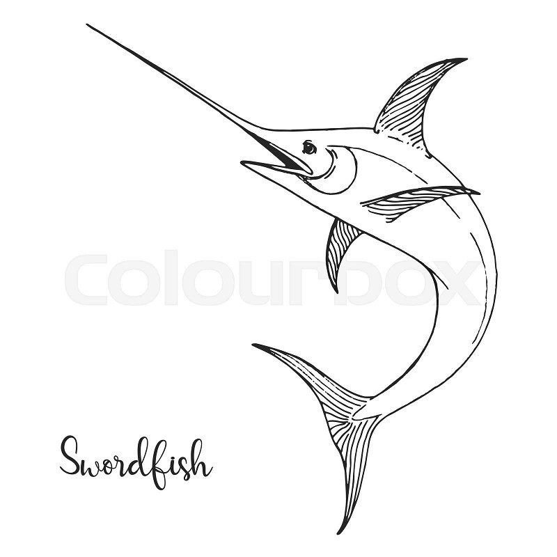 Hand drawn swordfish vector illustration in sketch style stock vector