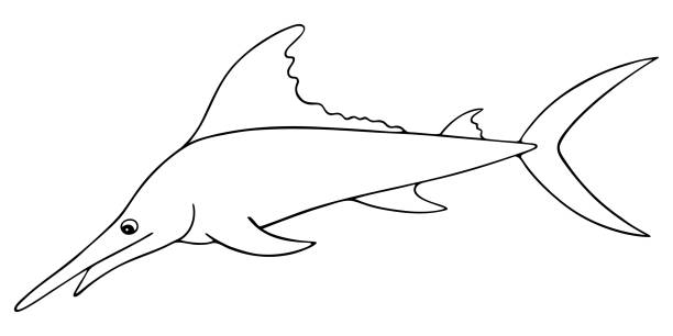 Swordfish marlin vector illustration outline on a white isolated background sea fish with a long jawshaped upper jaw inhabitant of the ocean active predator hand drawing style sketch coloring book for children and adults stock illustration