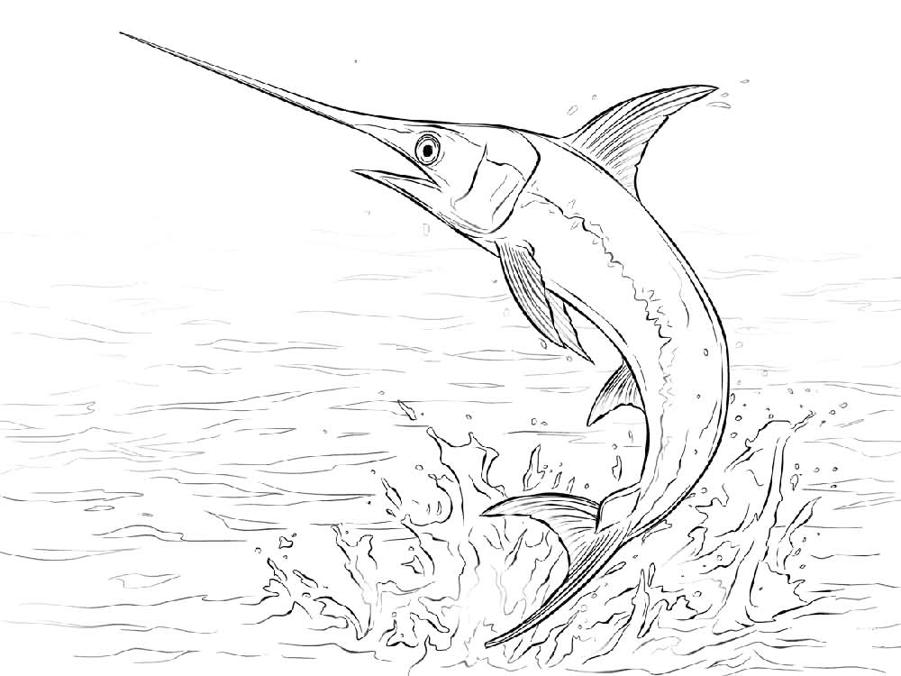 Swordfish coloring pages