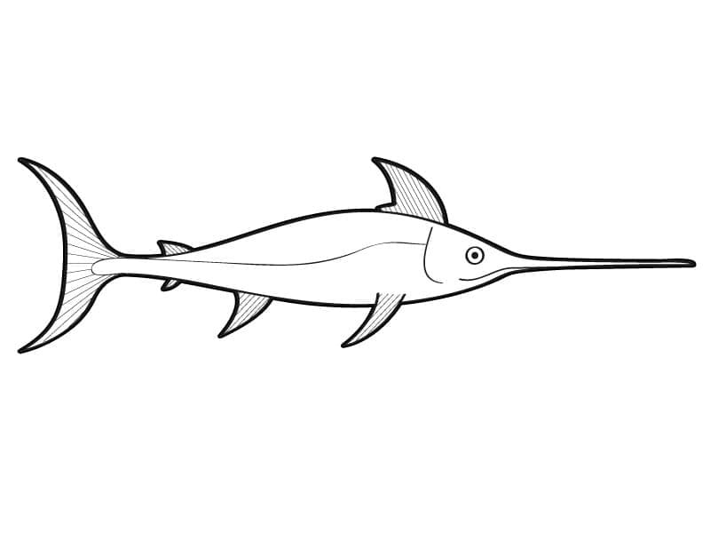 Swordfish coloring pages
