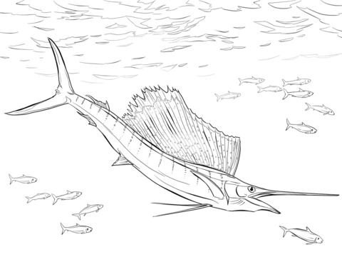 Swordfish coloring pages free coloring pages