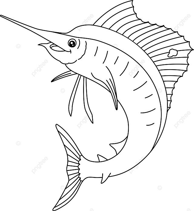 Sailfish coloring page isolated for kids color colouring page character vector color colouring page character png and vector with transparent background for free download