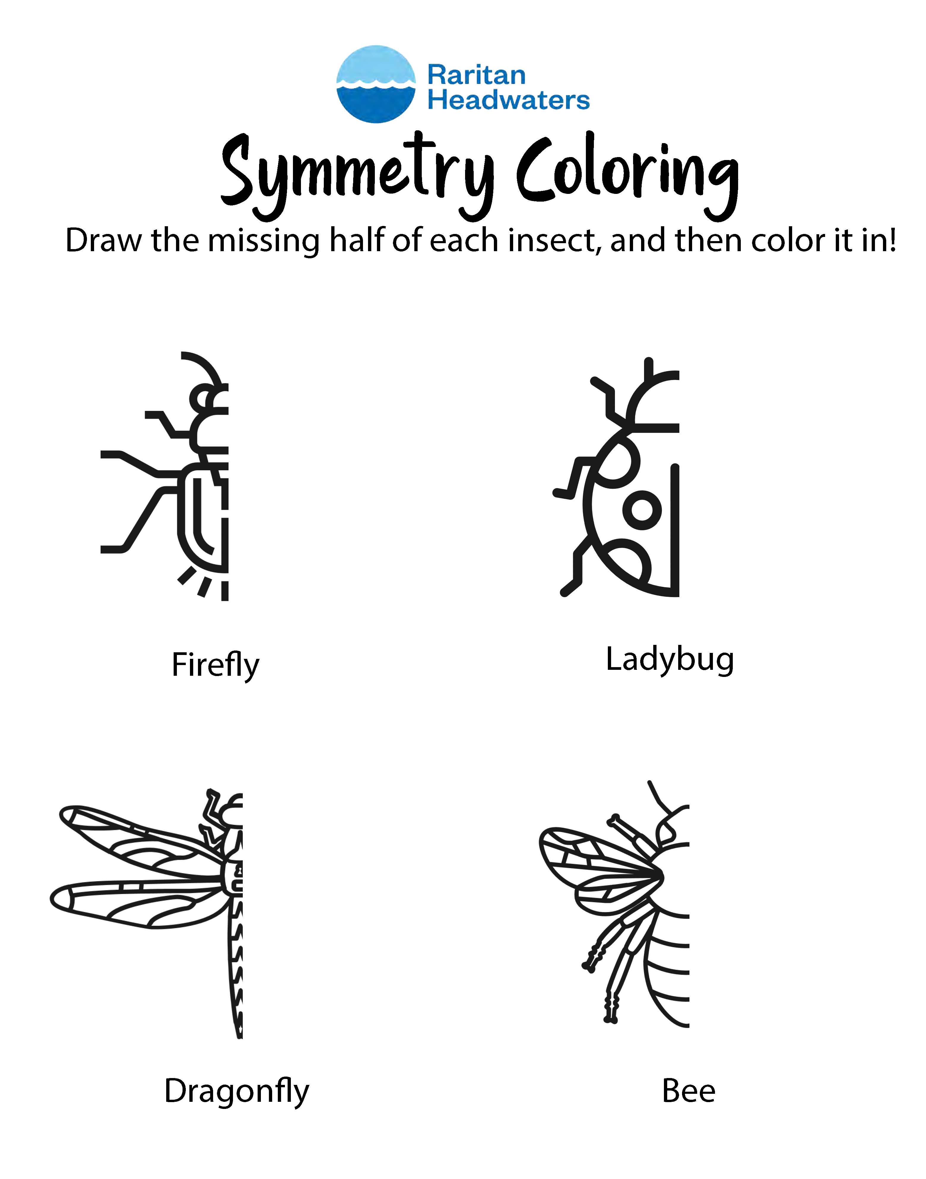 Bug symmetry drawing