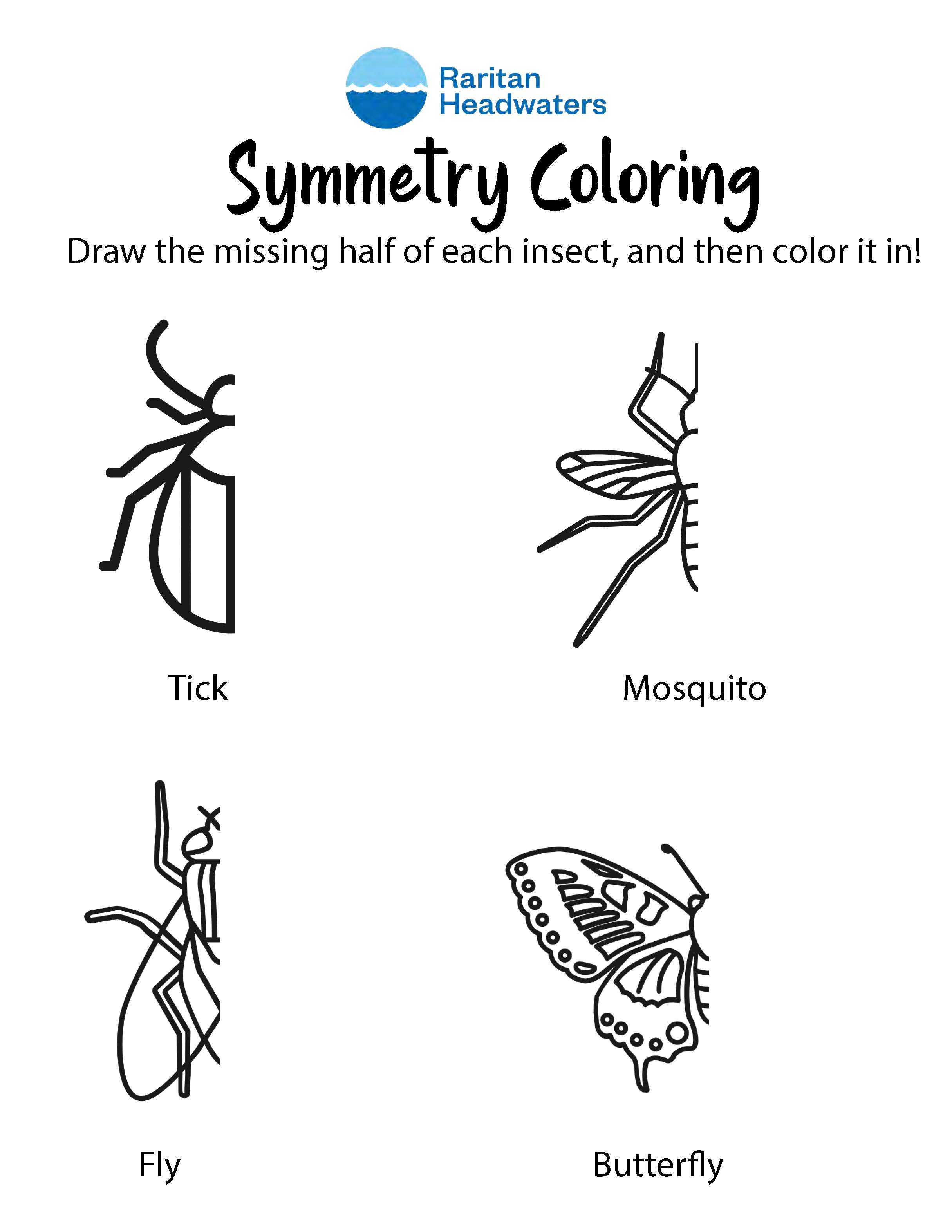 Bug symmetry drawing