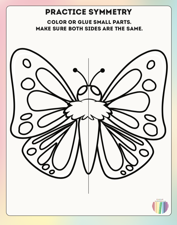 Insect symmetry â charlies bookstore
