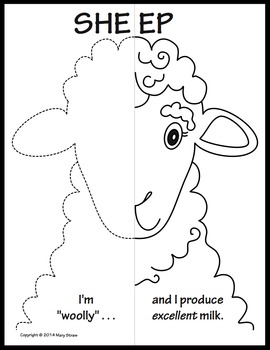 Farm animals symmetry activity coloring pages by mary straw tpt