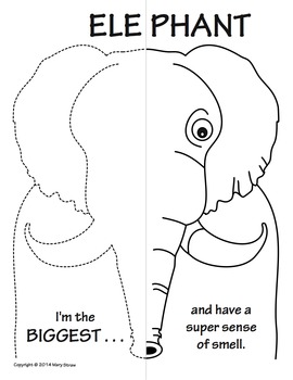Jungle animals symmetry activity coloring pages by mary straw tpt